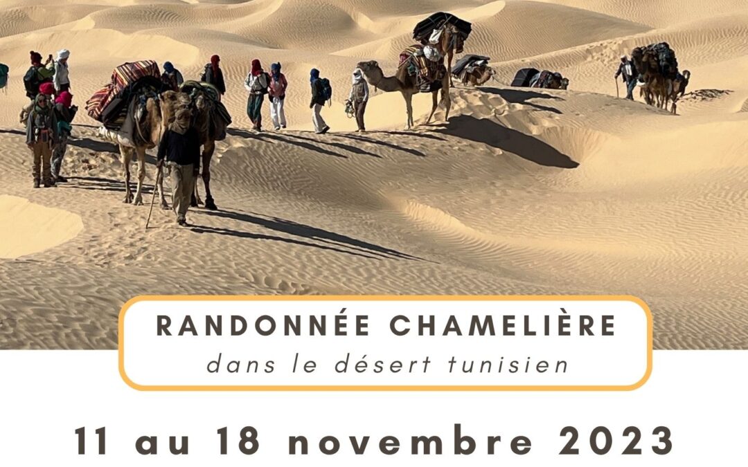 Désert au féminin – nov 2023 – 2ème édition